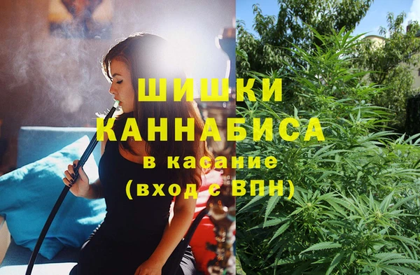 прущая мука Абаза