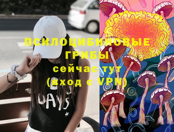 скорость Лиски