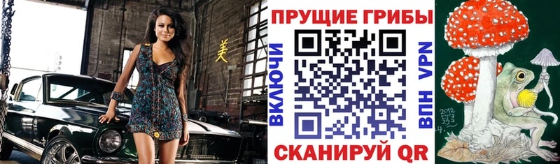 Псилоцибиновые грибы Magic Shrooms  Кемерово 